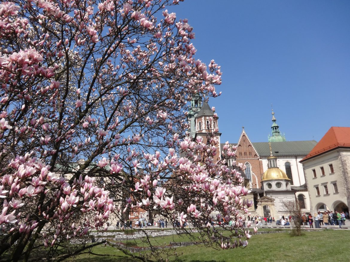 NONSTOPTRAVELLERS TRAVEL TRAVELLERS TRAVELLING