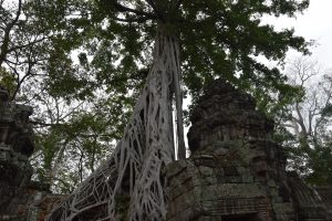 Jungle temple Nonstoptravellers Tomb Raider Ta Prohm temple