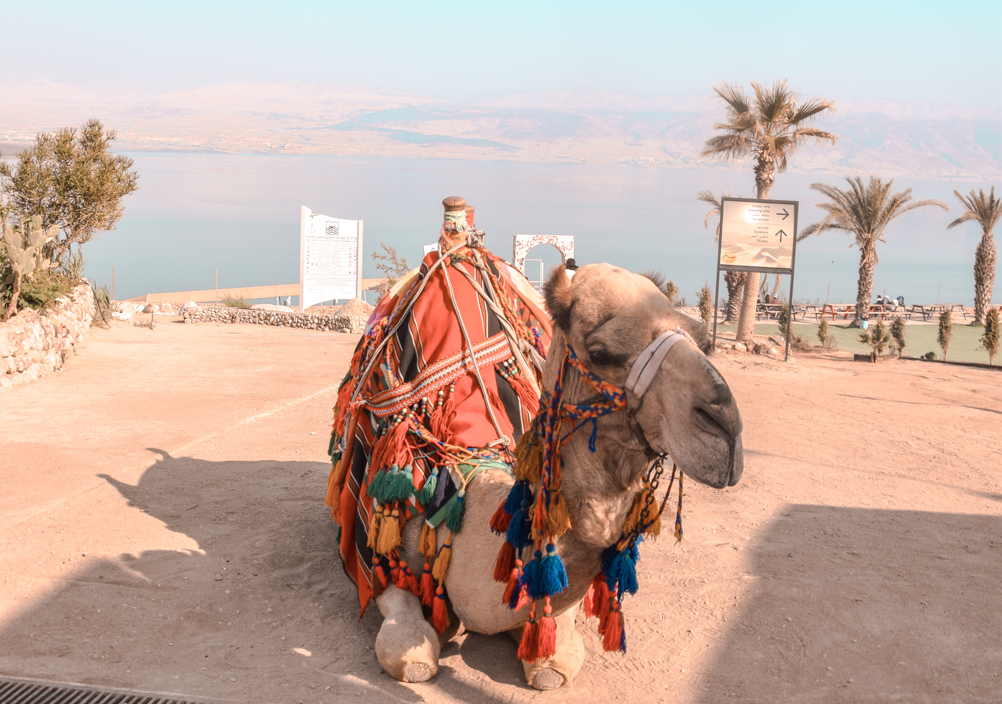 7 Interesting Facts About The Dead Sea That You Might Not Know Of