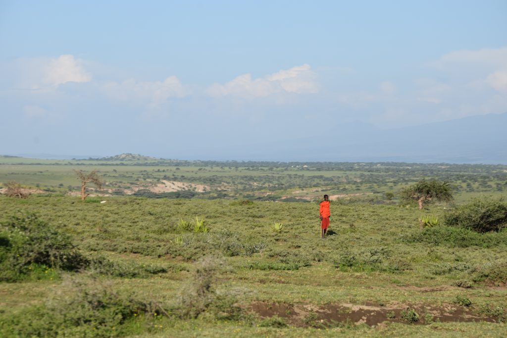 Massai tribe