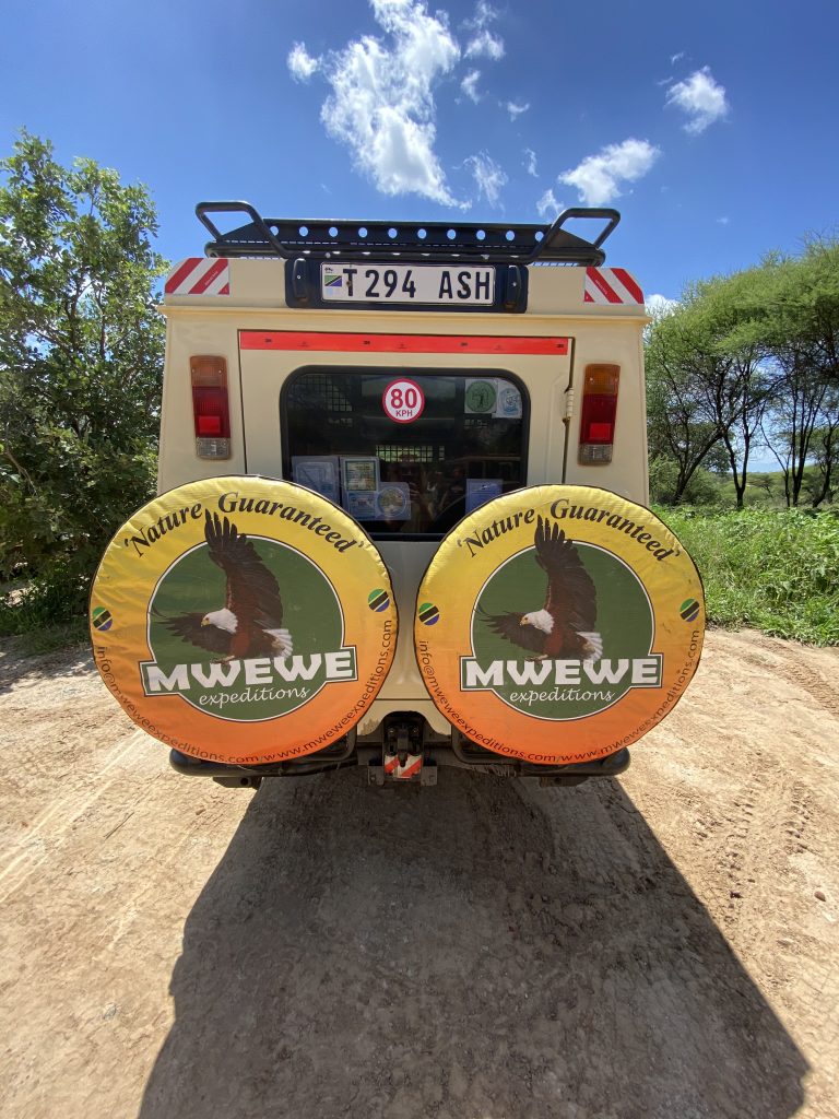 Mwewe tours Safari Tanzania