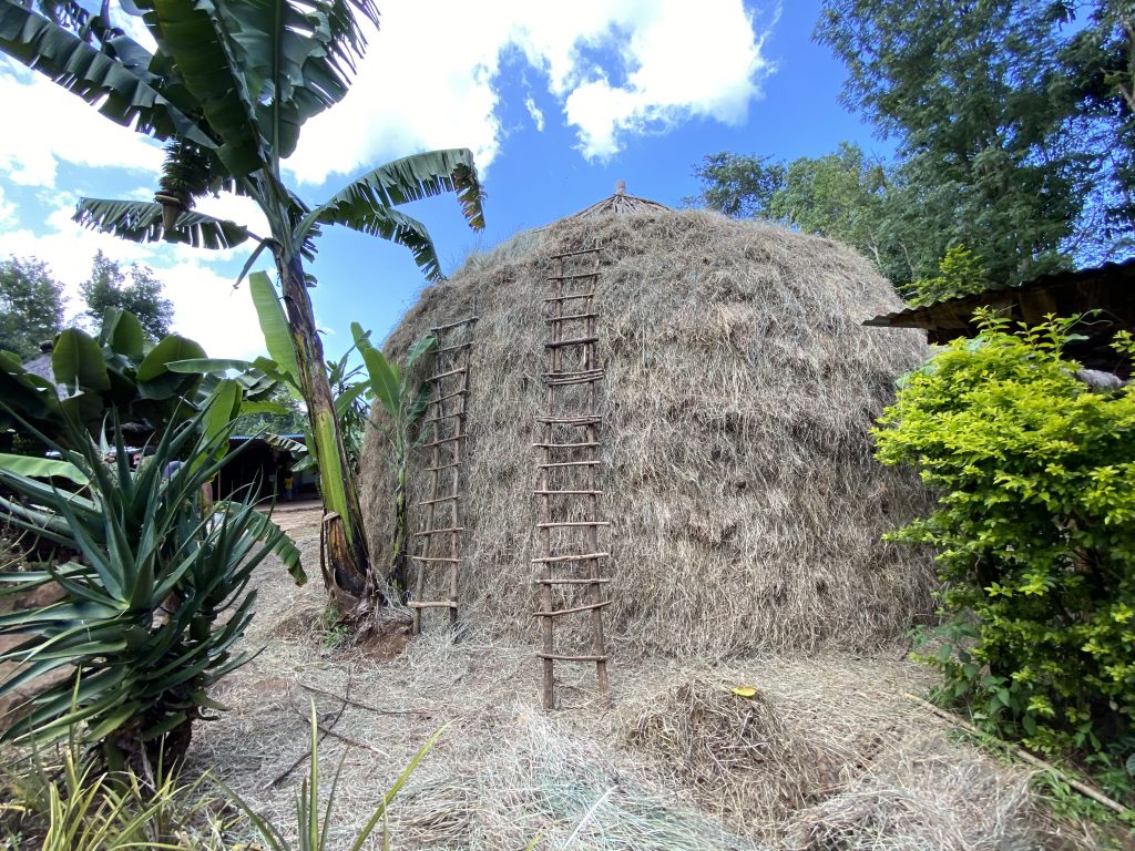 Tanzania Marangu village